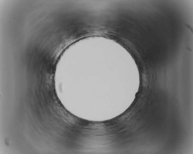X0000103461260200810240941