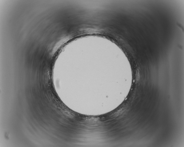 X0000103461261200810240941