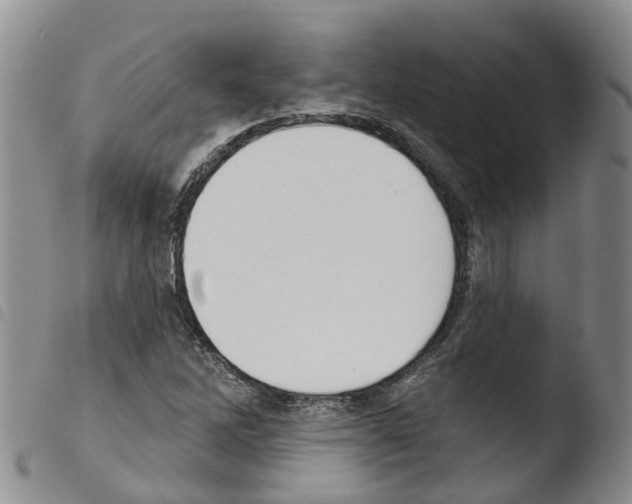 X0000103461262200810240941