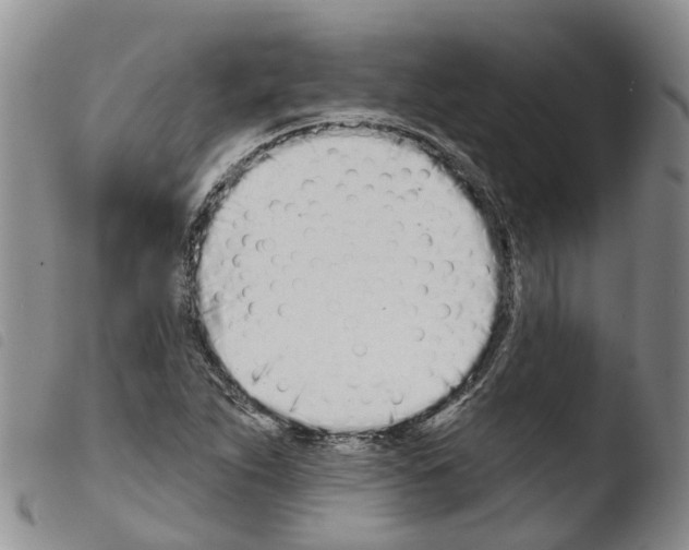 X0000103461263200810240940