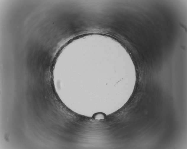 X0000103461264200810240940