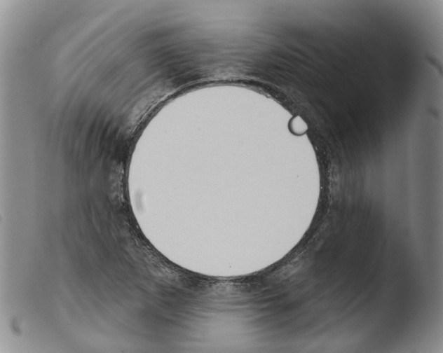 X0000103461265200810240940