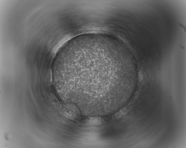 X0000103461267200810240940