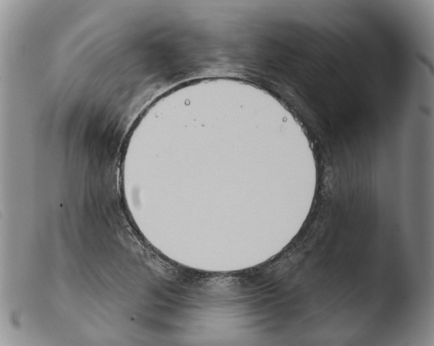 X0000103461268200810240940