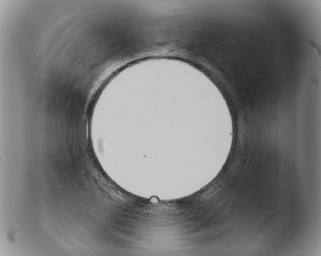 X0000103461270200810240940