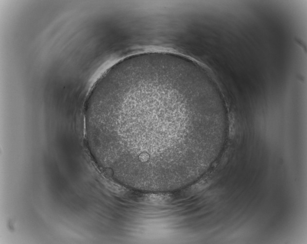 X0000103461271200810240940