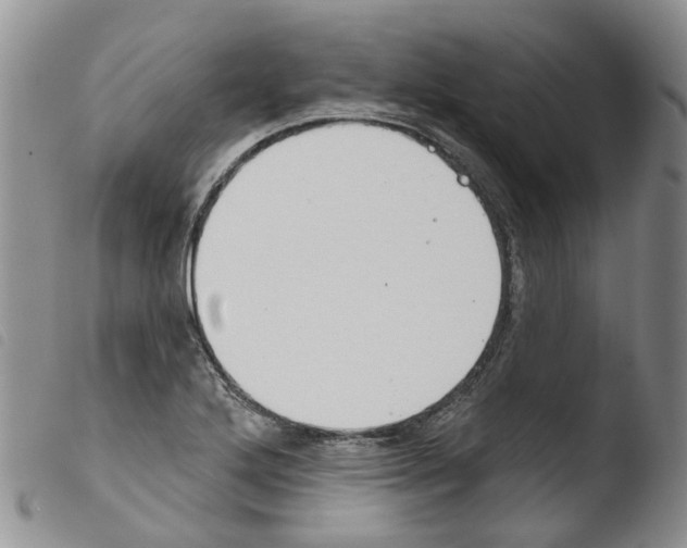 X0000103461272200810240940