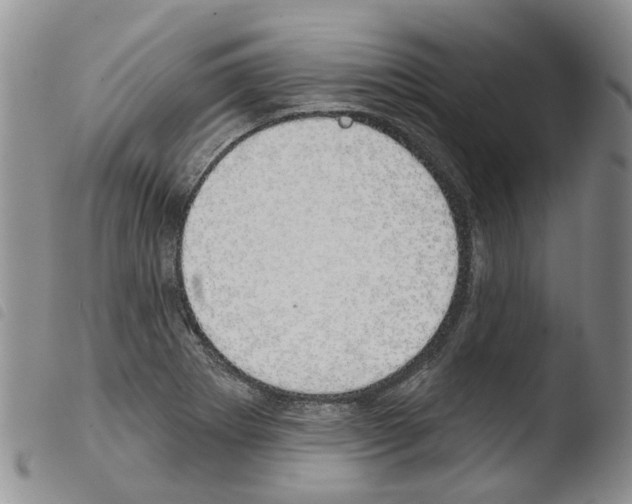 X0000103461273200810240940