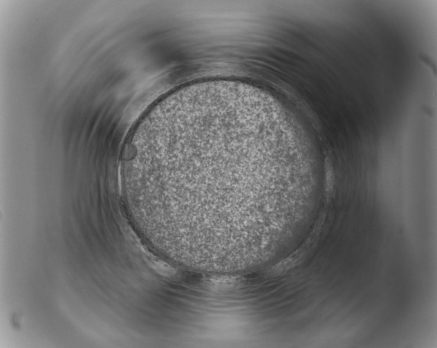 X0000103461274200810240940