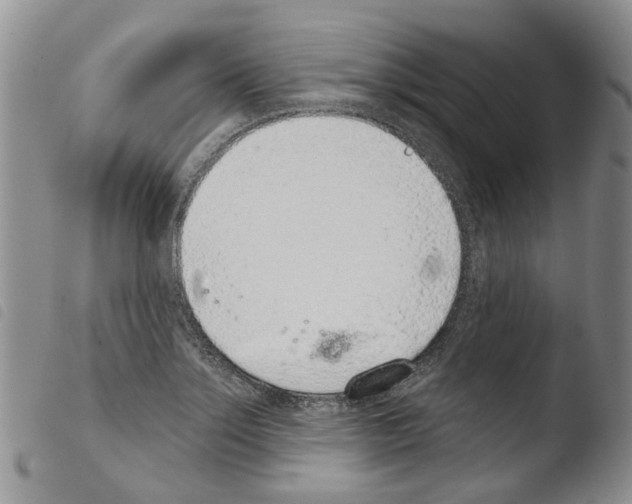 X0000103461275200810240940