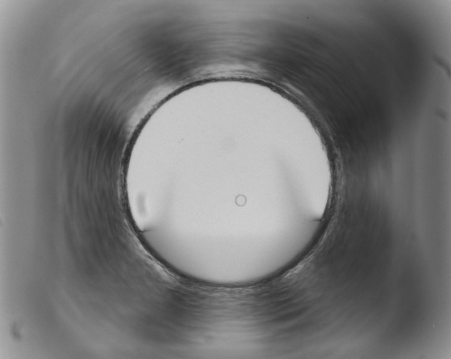 X0000103461277200810240940