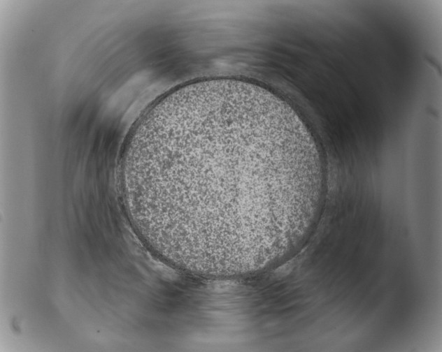 X0000103461278200810240940