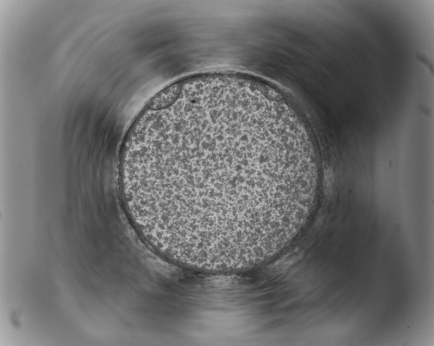 X0000103461279200810240940