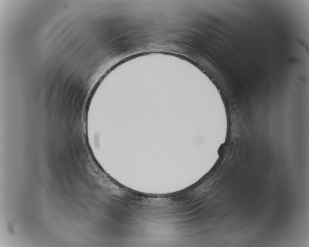 X0000103461280200810240940