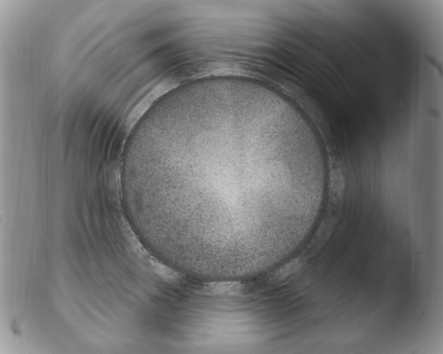 X0000103461282200810240940