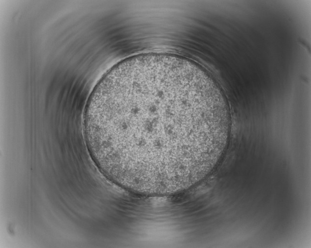 X0000103461283200810240940