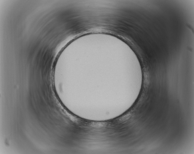 X0000103461286200810240940