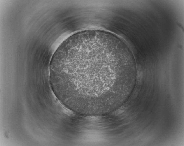 X0000103461287200810240940