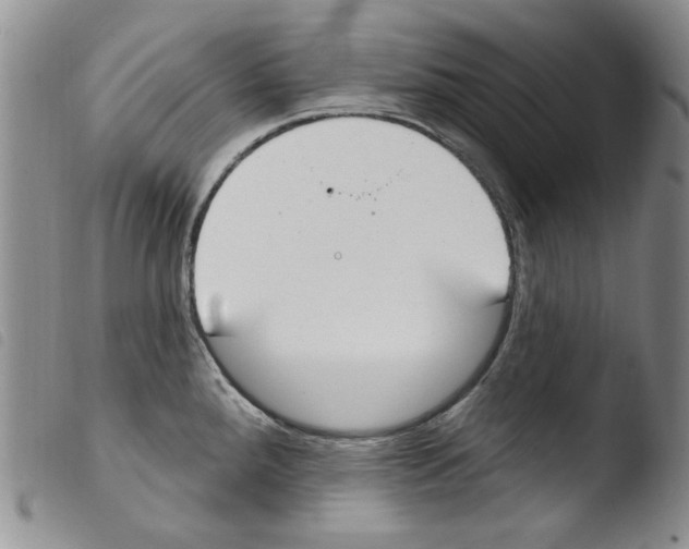 X0000103461288200810240940