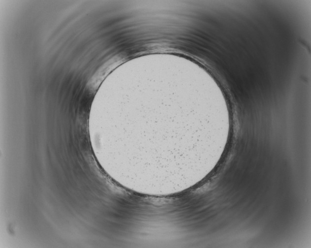 X0000103461289200810240940
