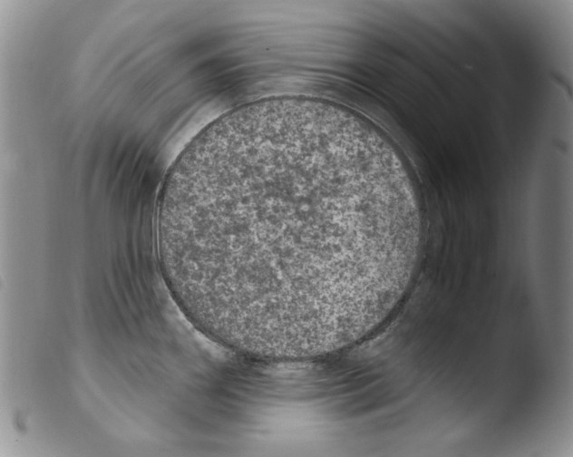 X0000103461290200810240940