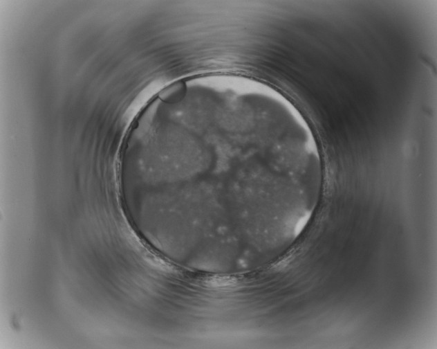 X0000103461291200810240940