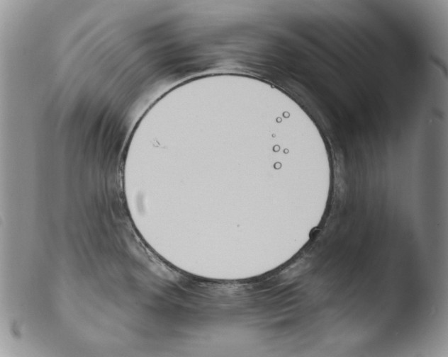 X0000103461292200810240940