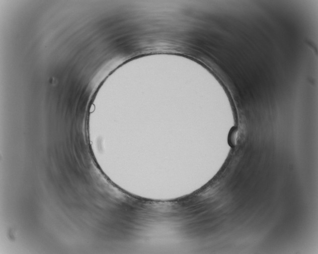 X0000103461293200810240940