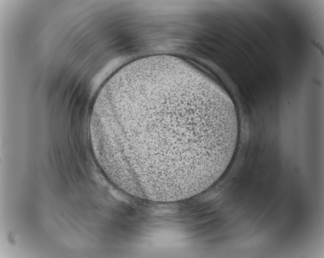 X0000103461294200810240940