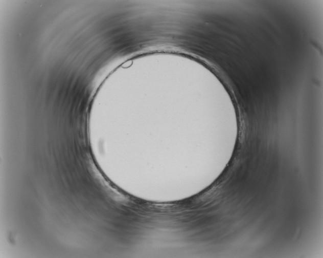 X0000103461295200810240940