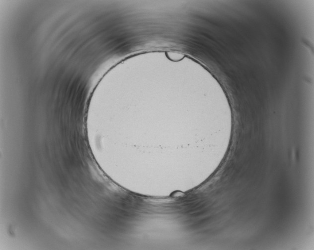 X0000103461296200810240940