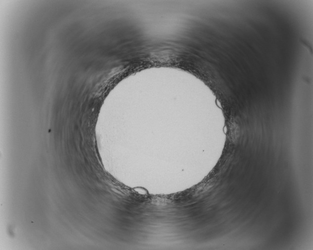 X0000103461297200810240939