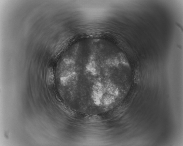 X0000103461298200810240939