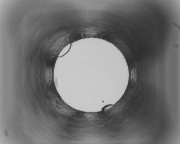 X0000103461299200810240939