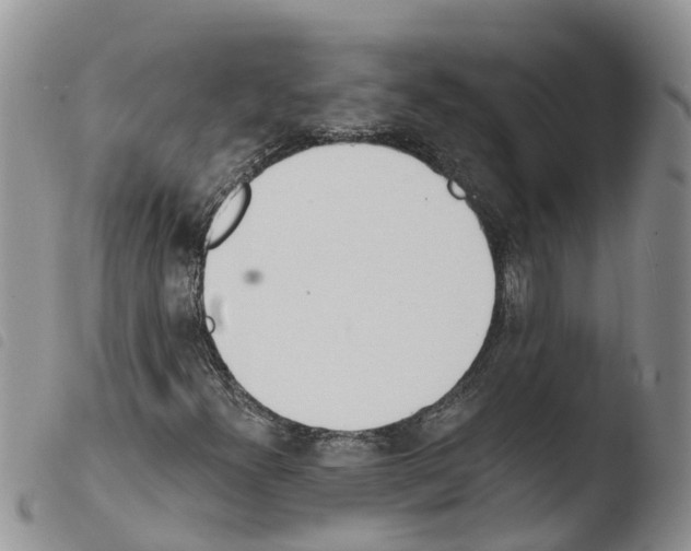 X0000103461300200810240939