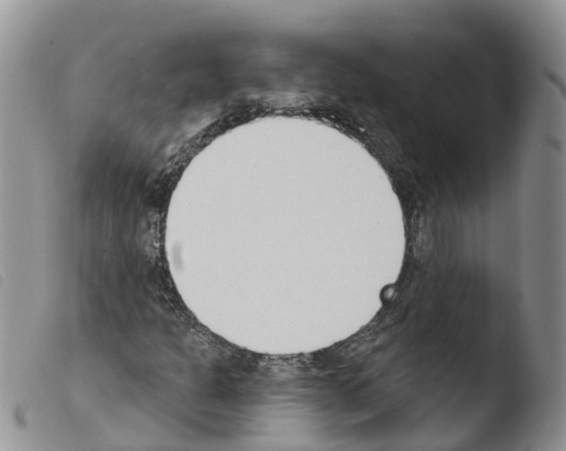 X0000103461301200810240939