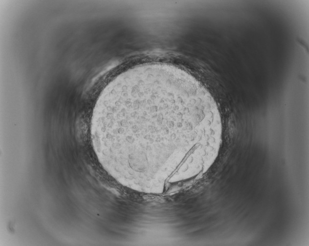 X0000103461302200810240939