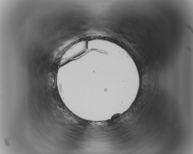 X0000103461303200810240939