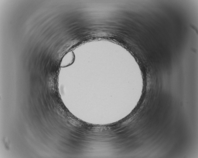 X0000103461305200810240939