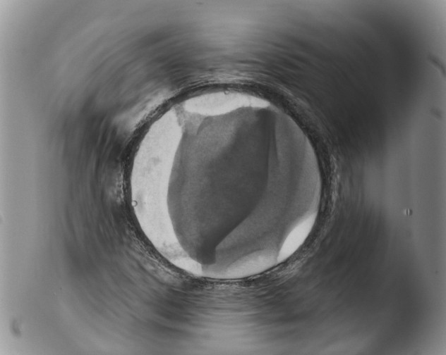 X0000103461306200810240940