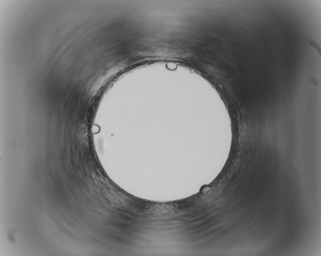 X0000103461307200810240940