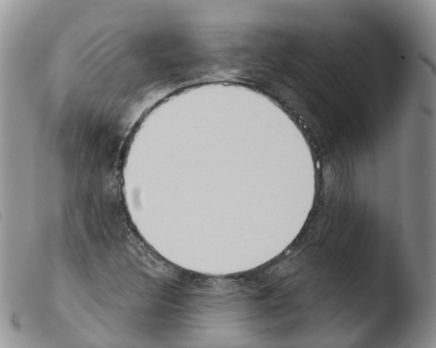 X0000103461308200810240940