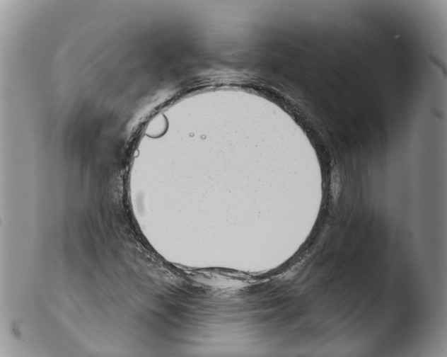X0000103461309200810240940