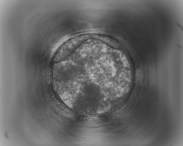 X0000103461310200810240940