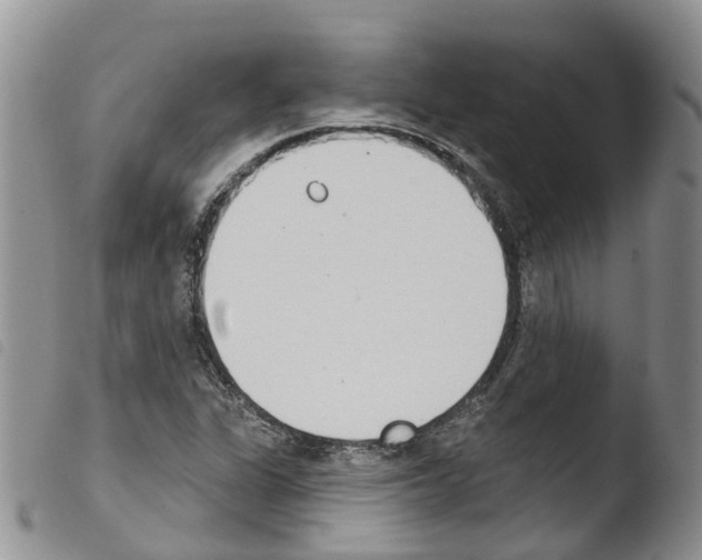 X0000103461311200810240940
