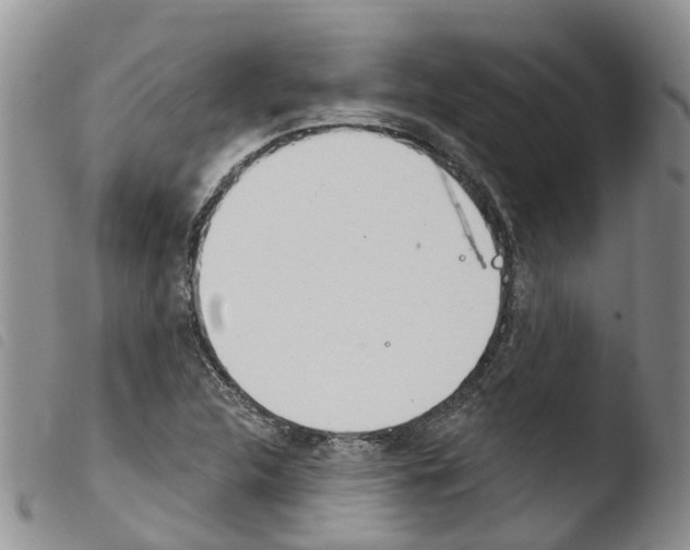 X0000103461312200810240940