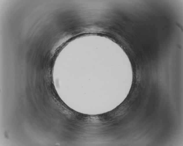 X0000103461315200810240940
