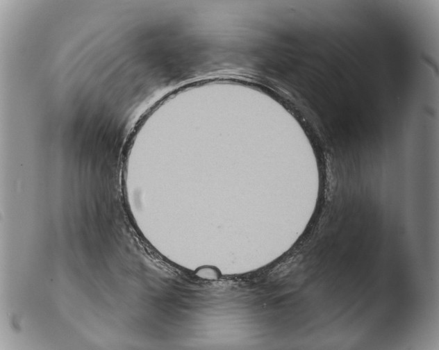 X0000103461316200810240940