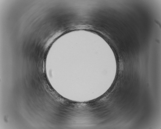 X0000103461317200810240940
