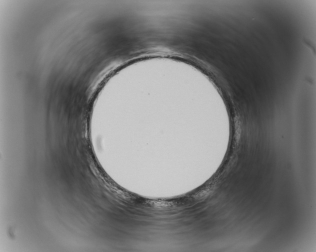 X0000103461318200810240940